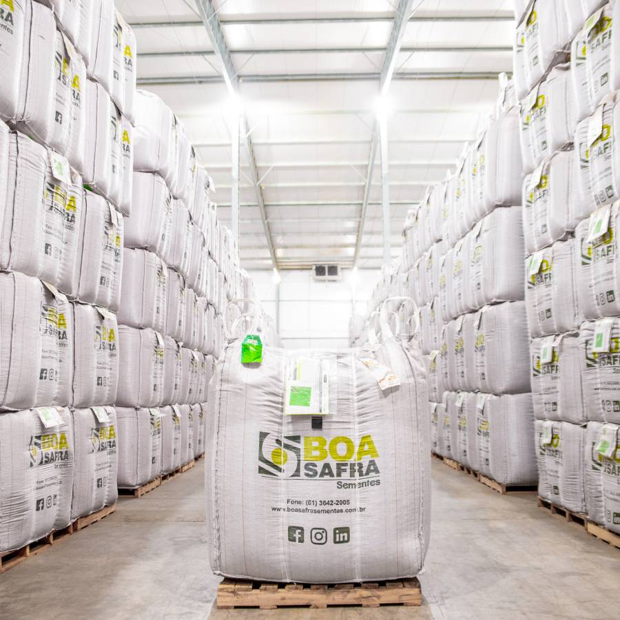 Câmeras Frias Boa Safra Sementes de Soja