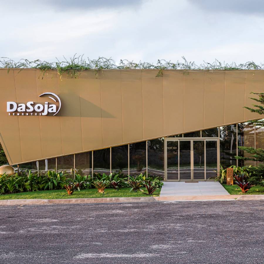 Câmeras Frias Boa Safra Sementes de Soja