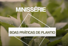 Minissérie “Boas Práticas de Plantio”