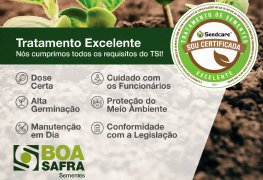 Boa Safra cumpre todos os requisitos para um tratamento de excelência