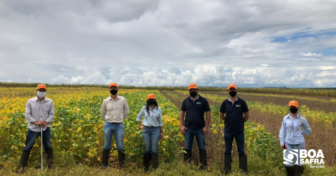 Boa Safra visita área de melhoramento de soja Monsoy