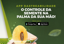 APP Rastreabilidade Boa Safra: O controle da semente da palma da sua mão!