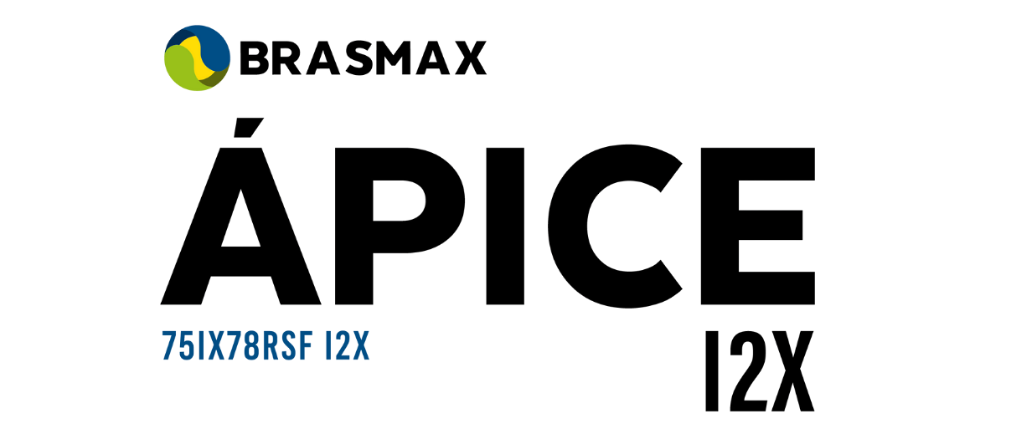 BRASMAX ÁPICE I2X