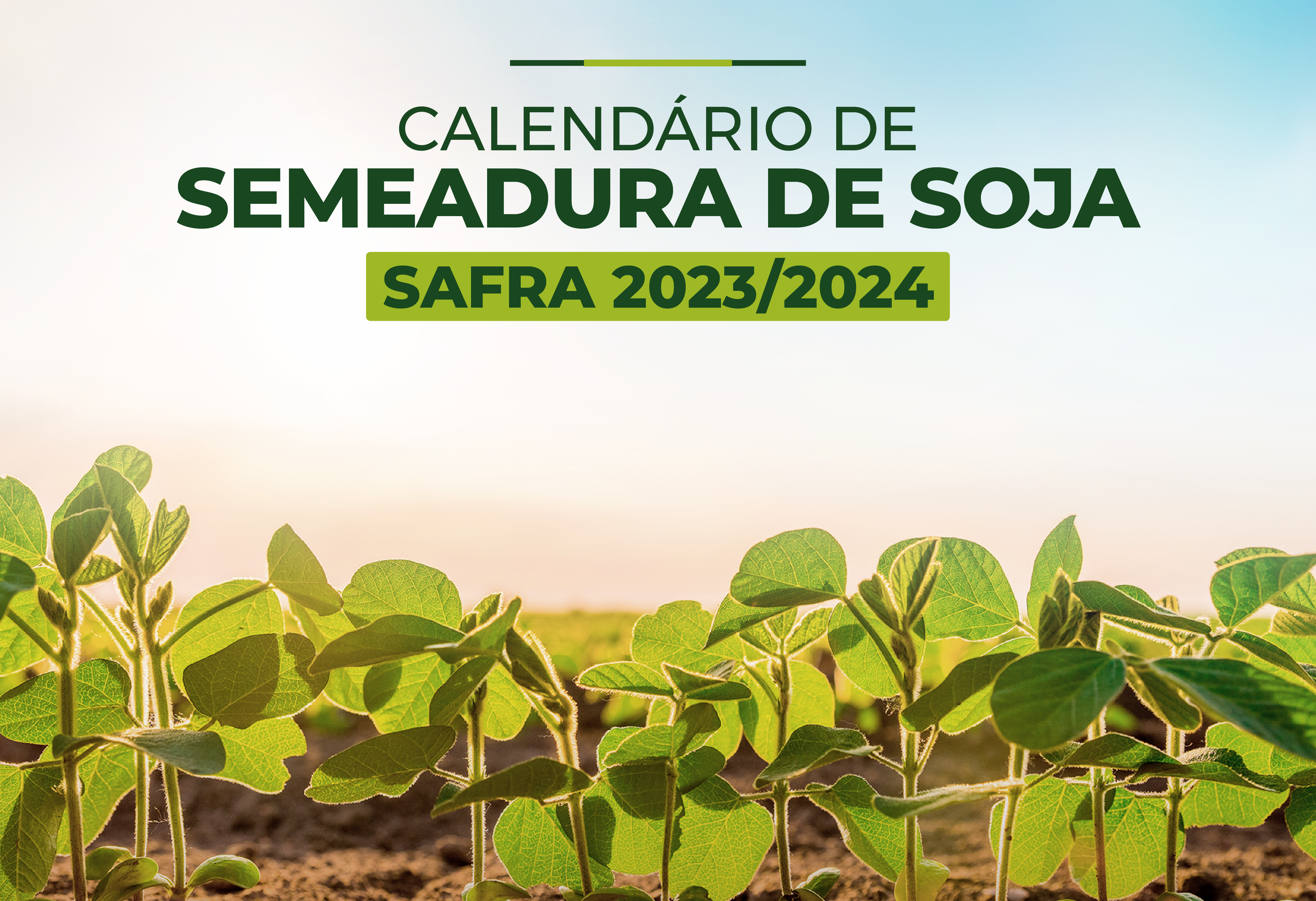 Mapa divulga calendário para Semeadura de Soja de safra 2023/2024