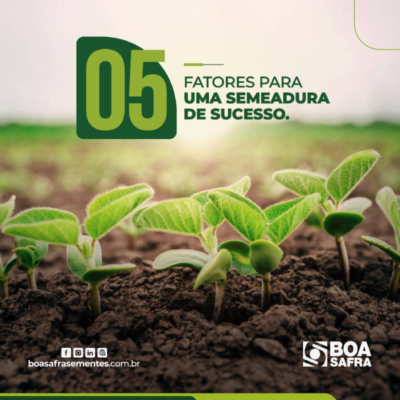 5-FATORES-SEMEADURA-BOA-SAFRA