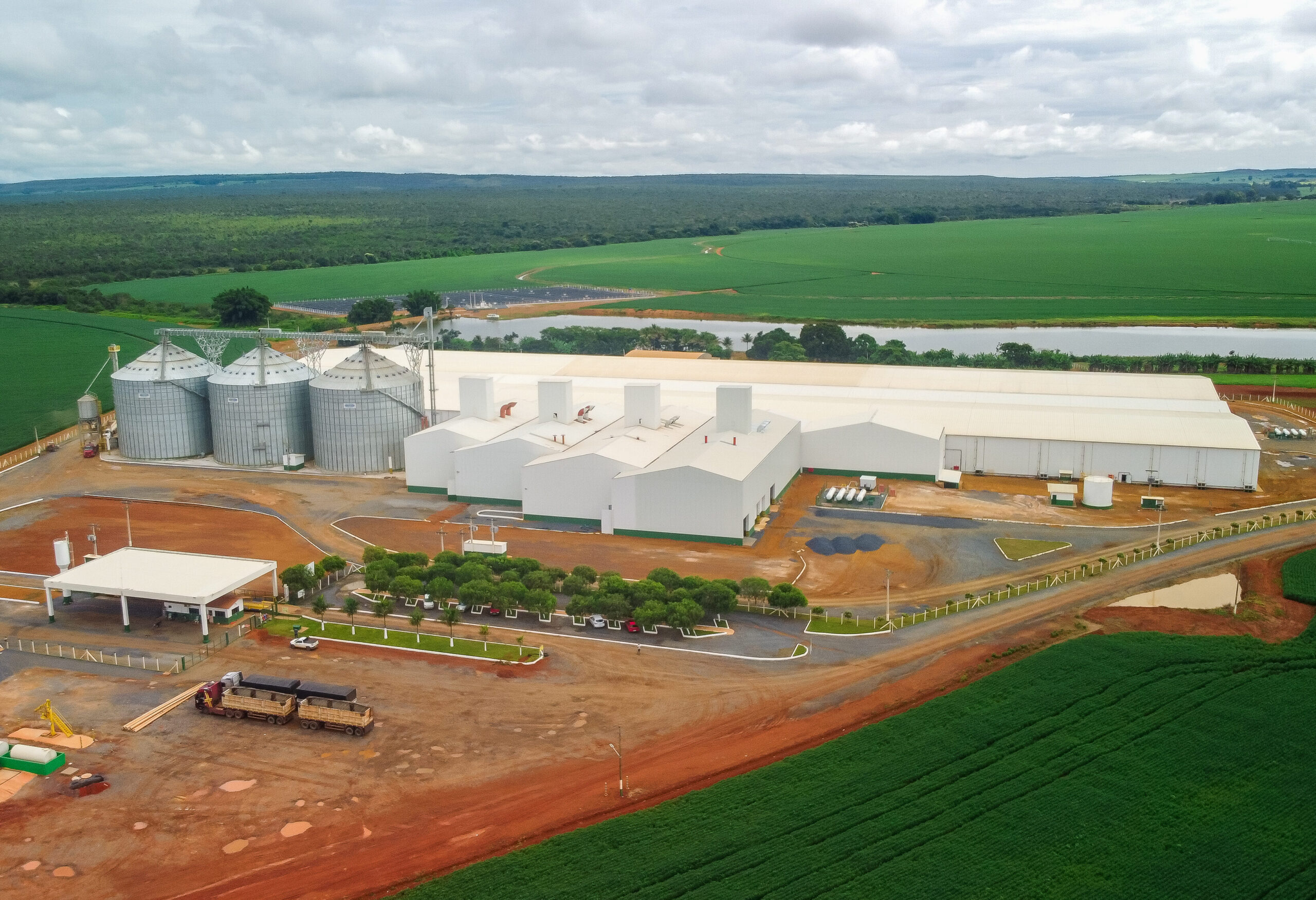 Tratamento de Sementes Industrial: por que escolher a Boa Safra? 