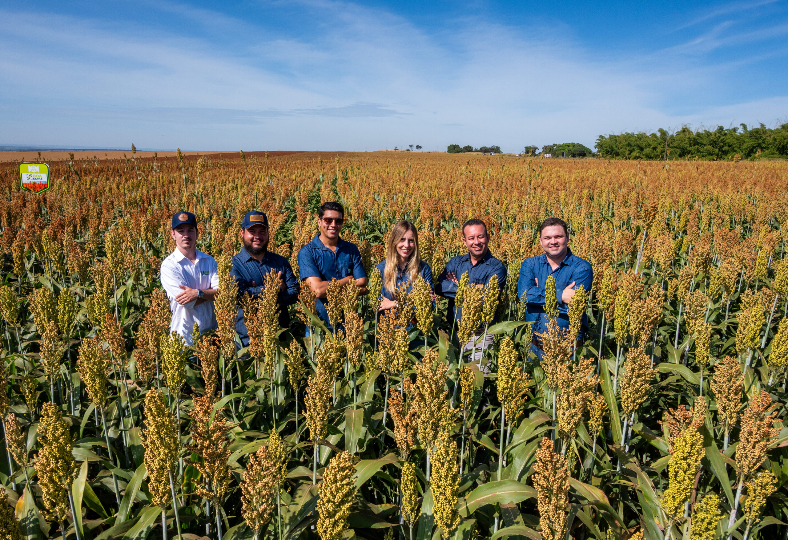 Dia de Campo: fortalecendo o sorgo de Norte a Sul do Brasil