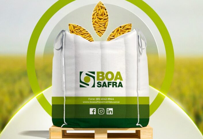 Boa Safra amplia portfólio e lança sementes de arroz