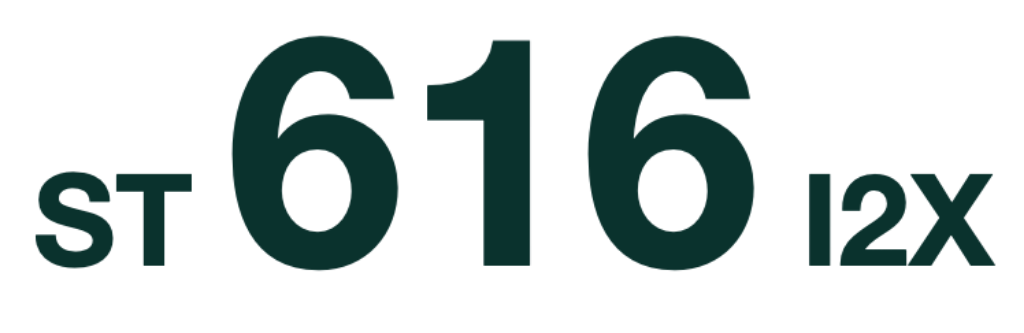 SoyTech 616 I2X