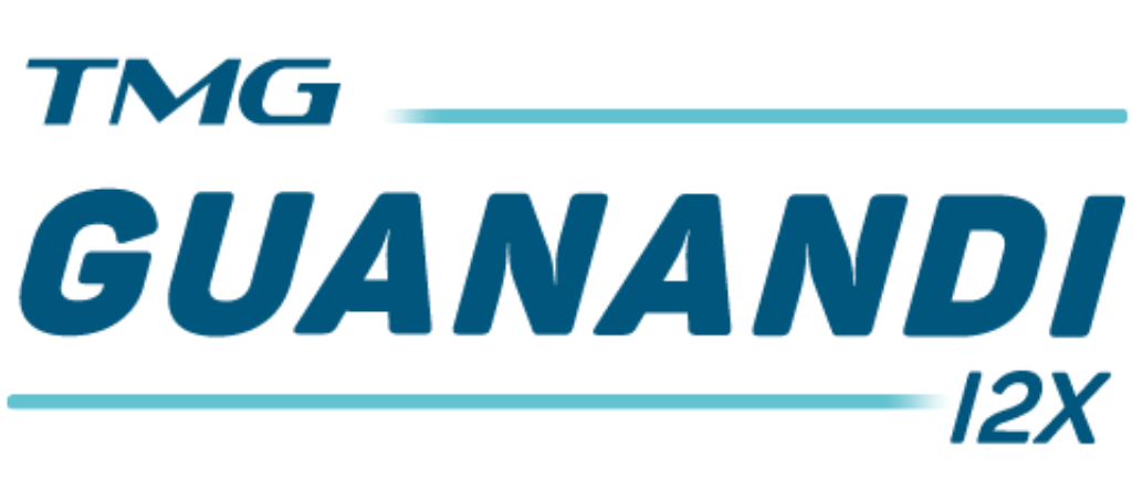TMG GUANANDI I2X